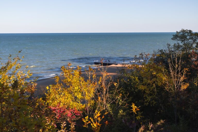 Seasonal Checklist for Maintaining Lakefront Properties